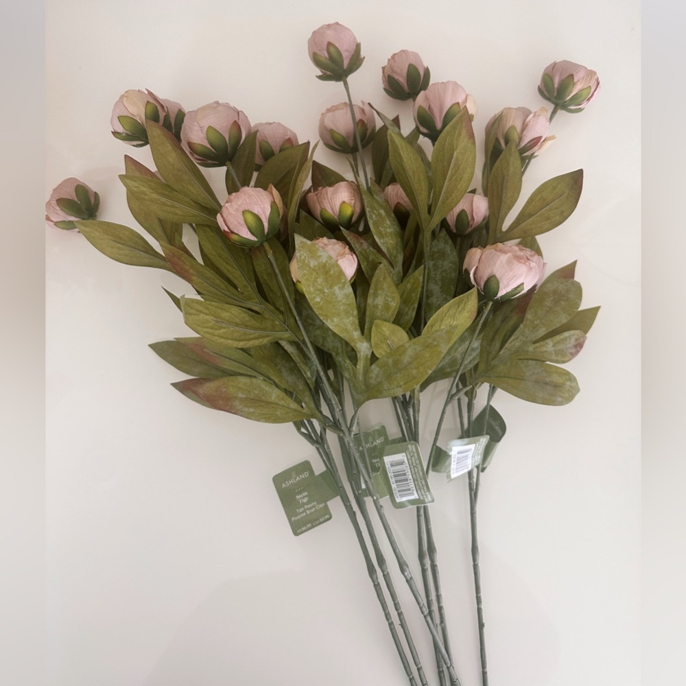 NWT Set of 6 Michael’s Viral Peony Stems in Tan by Ashland®
